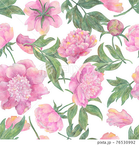 Seamless pattern with beautiful peony flowers and leaves isolated on white.  Hand drawn watercolor illustration, season summer and spring concept 76530992