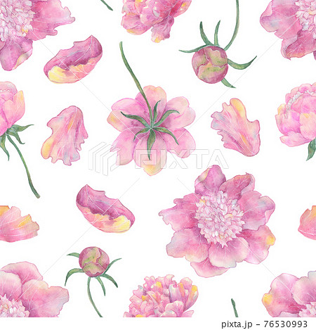 Seamless pattern with beautiful peony flowers and leaves isolated on white. Hand drawn watercolor illustration, season summer and spring concept Seamless pattern with beautiful peony flowers and leaves isolated on white. Hand drawn watercolor illustration, season summer and spring concept 76530993