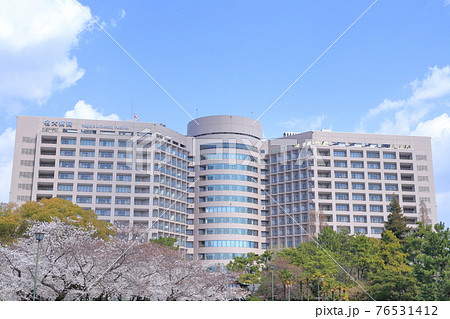 病院と公園のさくら(名古屋大学医学部附属病院、鶴舞公園 愛知県 名古屋市) 病院と公園のさくら(名古屋大学医学部附属病院、鶴舞公園 愛知県 名古屋市) 76531412