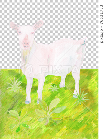 ヤギと草原の水彩イラストのイラスト素材