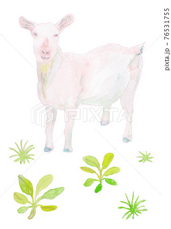 ヤギと牧草の水彩イラストのイラスト素材