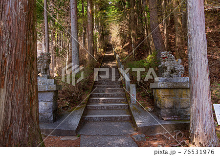 (山梨県)山中湖村の石割神社・狛犬 (山梨県)山中湖村の石割神社・狛犬 76531976