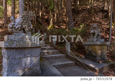 (山梨県)山中湖村の石割神社・狛犬 (山梨県)山中湖村の石割神社・狛犬 76531978