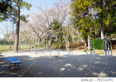桜咲く、千葉県船橋市、小室公園、健康器具広場 桜咲く、千葉県船橋市、小室公園、健康器具広場 76532241