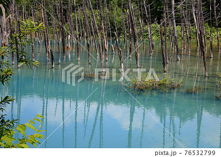 北海道 青い池 北海道 青い池 76532799