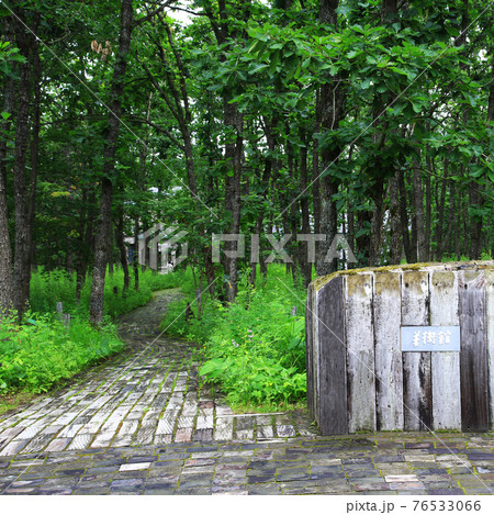 北海道　中札内美術村 76533066