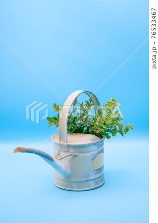 おしゃれなブリキ製のじょうろと観葉植物　 76533467