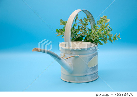 おしゃれなブリキ製のじょうろと観葉植物 の写真素材