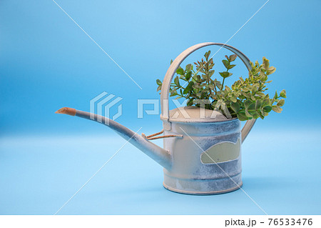おしゃれなブリキ製のじょうろと観葉植物 の写真素材