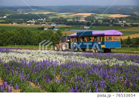 北海道 フラワーランド 北海道 フラワーランド 76533654