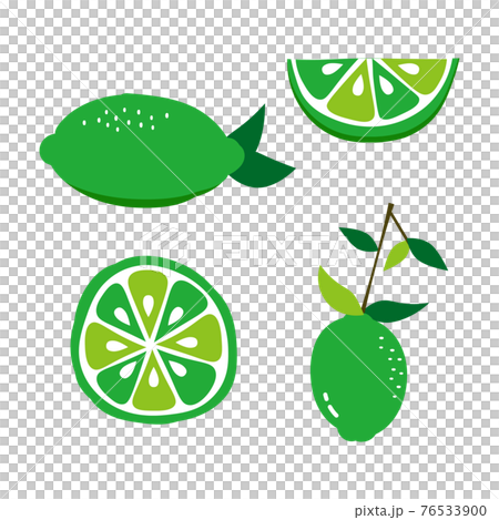 さわやかなライムのカットイラストのイラスト素材