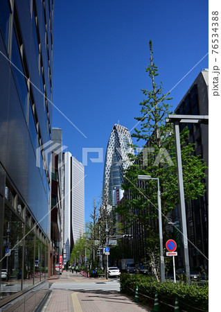 都市風景 東京都新宿区：晴天下の高層ビル街 76534388