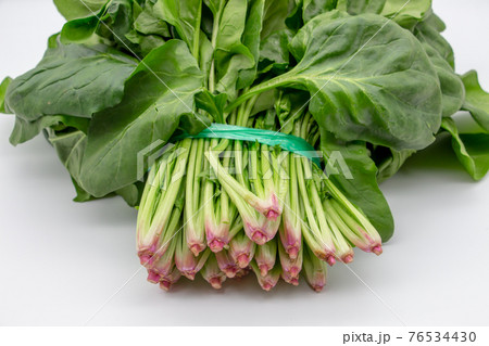 ビニールひもで縛った生のホウレンソウ　根っこが赤い新鮮な野菜　 76534430