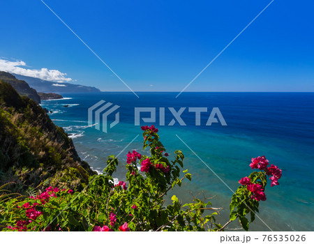 Flowers on coast in Boaventura - Madeira Portugal Flowers on coast in Boaventura - Madeira Portugal 76535026