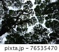 新緑に時期頭上のパッチワーク 76535470