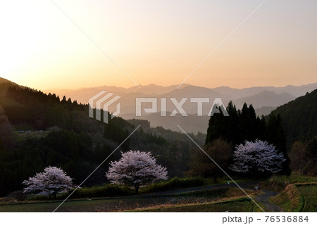 宇陀戒場の桜 宇陀戒場の桜 76536884