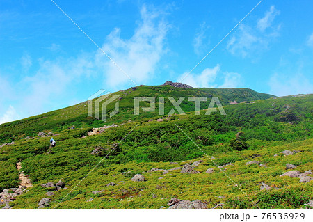 美しき高山植物　その2104　　：　麗しき高原　　花と植物が織りなす色紙　その2104 76536929