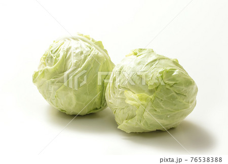 春キャベツ　新鮮野菜　春野菜　きれいなキャベツ　健康食材 76538388