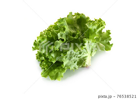 リーフレタス 76538521