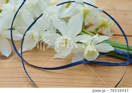 クリーム色のしずく水仙の花束 クリーム色のしずく水仙の花束 76539347