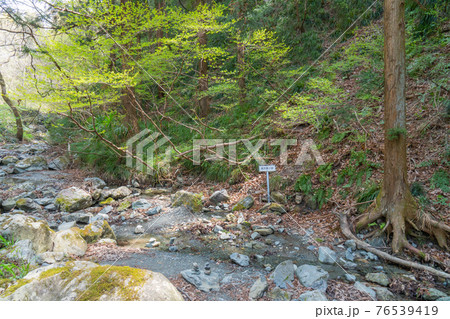 美の山の麓にある和銅遺跡 76539419