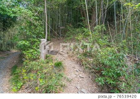 美の山の登山口（和銅遺跡側） 76539420