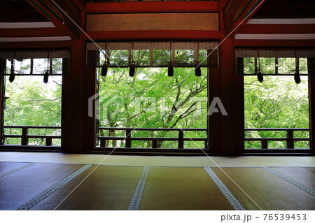 新緑の談山神社 新緑の談山神社 76539453