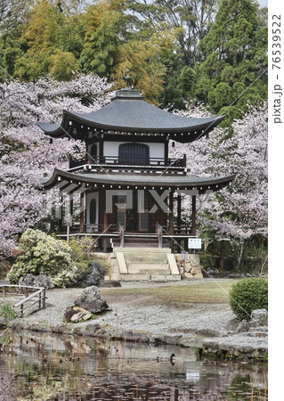 春の勧修寺 春の勧修寺 76539522