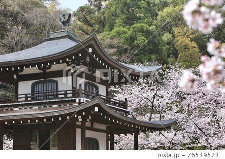 春の勧修寺 春の勧修寺 76539523