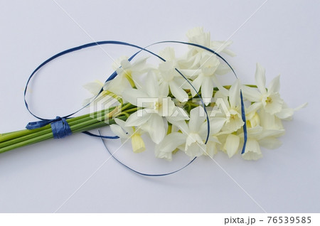 クリーム色のしずく水仙の花束 クリーム色のしずく水仙の花束 76539585