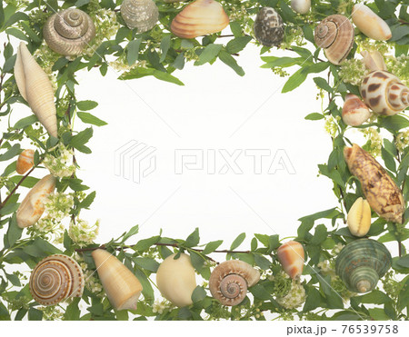 枠 額縁 フレーム 76539758