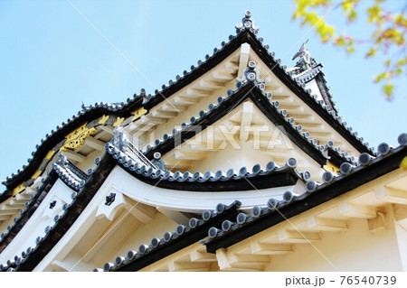 彦根城の天守閣 76540739