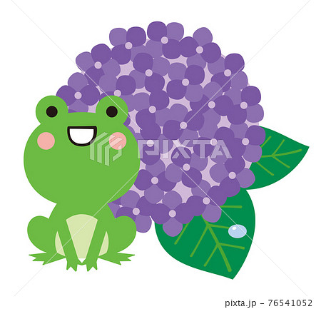 梅雨の季節の紫陽花とカエルのイラストのイラスト素材