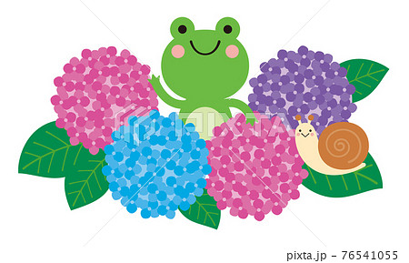 梅雨の季節の紫陽花とカエルとカタツムリのイラストのイラスト素材