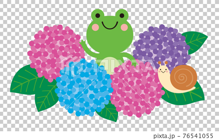 Illustration Of Hydrangea Frog And Snail In Stock Illustration