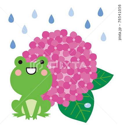 梅雨の季節の紫陽花とカエルのイラストのイラスト素材