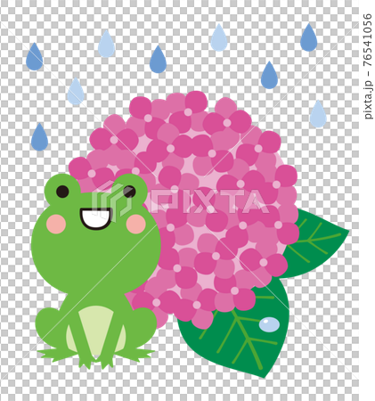 梅雨の季節の紫陽花とカエルのイラストのイラスト素材