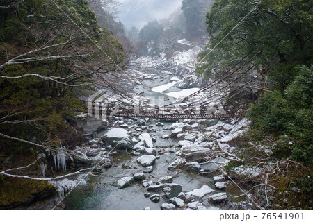 雪の日の祖谷のかずら橋 徳島県 雪の日の祖谷のかずら橋 徳島県 76541901