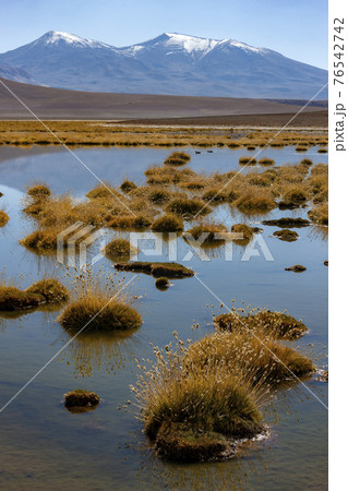 Atacama Desert Landscape - Chile - South America Atacama Desert Landscape - Chile - South America 76542742