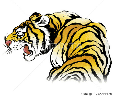 トラ,干支,寅, a happy new year, カラー 76544476