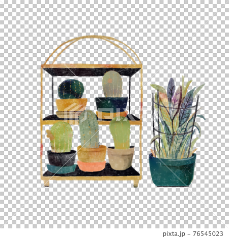 Interior coordination of cactus and fern Interior coordination of cactus and fern 76545023