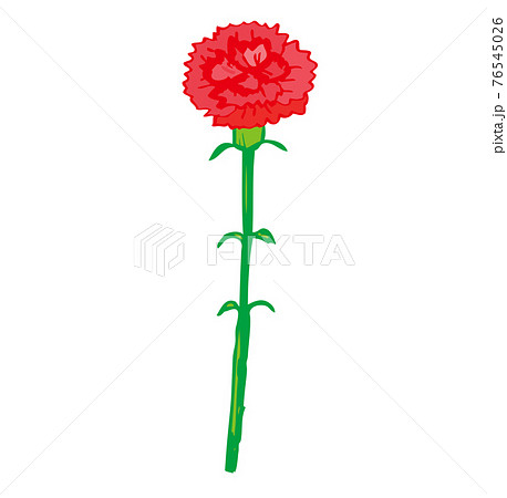 1輪の赤いカーネーション　母の日　メッセージ　手書きのカーネーション　1本 76545026