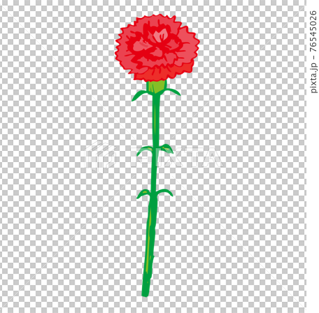 1輪の赤いカーネーション　母の日　メッセージ　手書きのカーネーション　1本 76545026