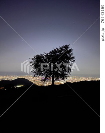 木と夜景 木と夜景 76545169