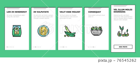 Peas Beans Vegetable Onboarding Icons Set Vector Peas Beans Vegetable Onboarding Icons Set Vector 76545262