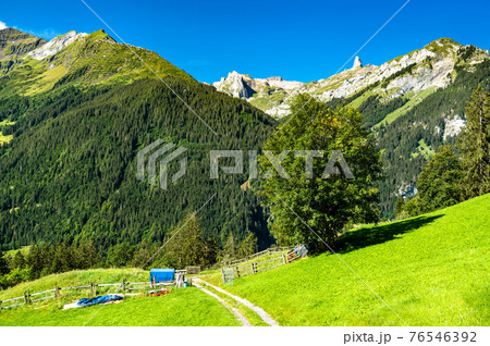 Alpine view in Wengen, Switzerland 76546392