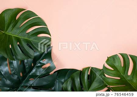 木の葉 葉 草の葉 76546459