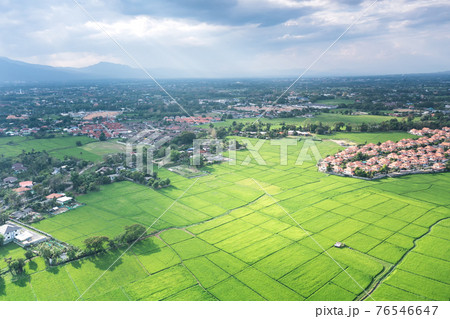 Land plot and green field in aerial view. 76546647