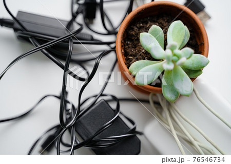 E waste, old cables and green plant. Gadget recycle of tech junk. Environment pollution 76546734