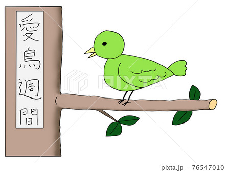 愛鳥週間の木の枝に止まる小鳥 76547010